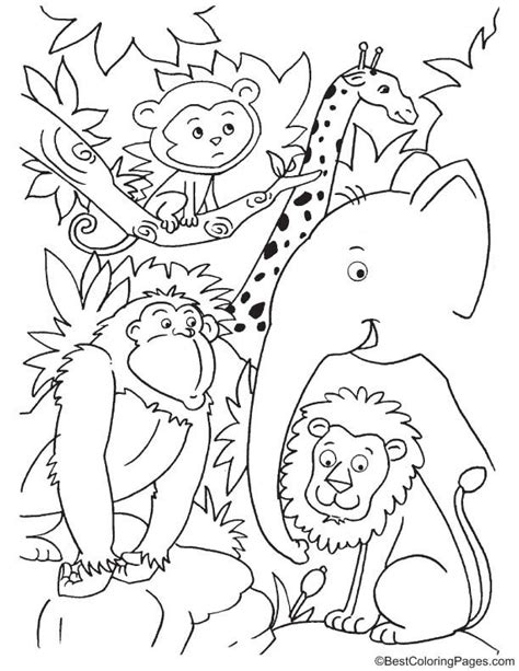 cute animals  jungle coloring page animal coloring pages jungle
