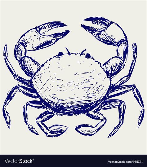 crab sketch royalty  vector image vectorstock