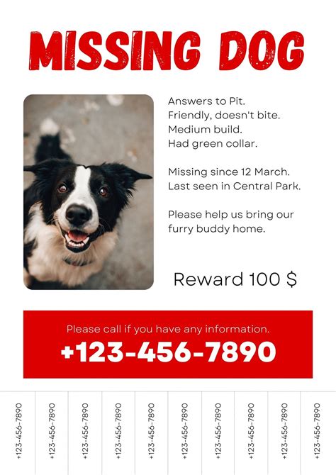 missing dog posters