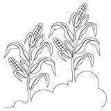 Corn Crop Crops Drawing Quilt Drawings Paintingvalley Sweet sketch template
