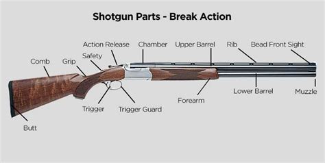 shotgun basics identifying parts  functions tactical experts tacticalgearcom
