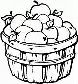 Manzanas Apples Fruit Izquierdo Pincha Botón Bushel sketch template