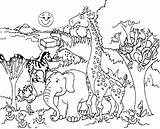 Habitat Forest Drawing Coloring Pages Kids Printable Animals Animal Getdrawings sketch template