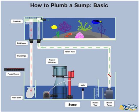 plumb  sump plumbing diagrams   aquarium sump aquarium sump saltwater