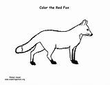 Fox Red Coloring sketch template