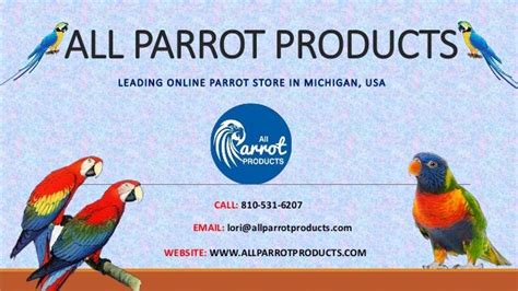 parrot products leading  parrot store  michigan usa