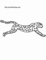 Cheetah Coloring Printable Pages Print Clipart Animals Color Wild Baby Running Kids Library Stencil Clip Printablee Comments sketch template