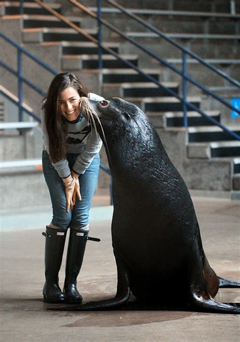 sarah of classy girls wear pearls wearing her hunter boots at mystic aquarium lovely