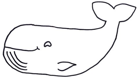 whale outline cliparts   clip art jpg  clipartix
