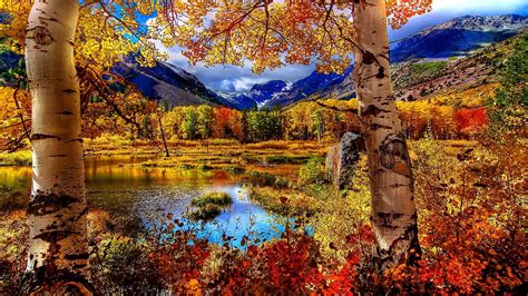 autumn scenic wallpapers  hd autumn scenic backgrounds  wallpaperbat
