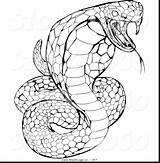 Cobra King Coloring Pages Printable Drawing Snake Rattlesnake Diamondback Drawings Clipartmag Getdrawings Template sketch template