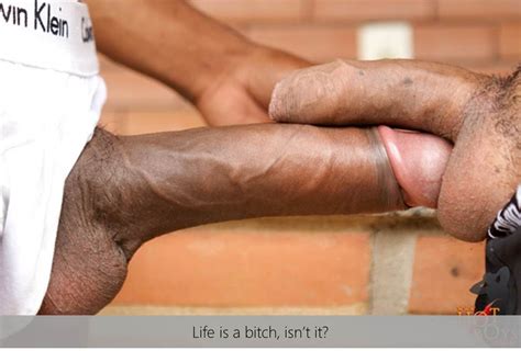 picture2 in gallery life is a bitch small cock vs big cock 2 picture 2 uploaded by