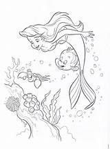 Colorear Sirenita Mermaid Princesa Arielle Syrenka Sirena Sirenetta Princesas Kolorowanka Flounder Druku Ausmalen Ragazze Kolorowanki Mala Pony Sirene Meerjungfrau Ausmalbild sketch template