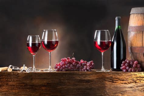 vinho tinto seco     quais sao os melhores vortexmag