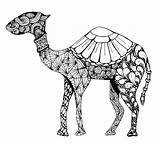 Coloring Pages Camel Arabic Henna Mandala Animal Adult Colouring Tattoo Kamel Arab Dromedary Zentangle Drawing Orient Camels Woman Drawings Africa sketch template