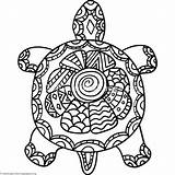 Turtle Zentangle sketch template