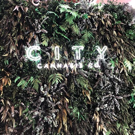city cannabis  cambie street list vancouvers  businesses