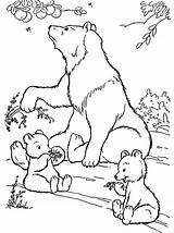 Urso Bears Cubs sketch template