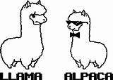 Coloring Llama Alpaca Pages Cute Animal Kawaii Printable Animals Cartoon Wecoloringpage Colouring Kids Alpacas Drawings Drawing Bestcoloringpagesforkids Sheets Designlooter Clipartmag sketch template