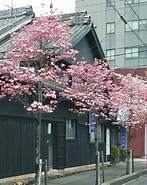 Image result for 岐阜県岐阜市上大久和町. Size: 147 x 185. Source: www.ekiten.jp