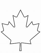 Maple Leaf Coloring Pages sketch template