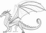 Leafwing Leafwings Wof Feuille Royaumes Ailes Tribe Aile Wingsoffire Sundew Ruling Rainwing Nightwing Pantala Hivewings Nicepng Edits Willow Silkwings sketch template