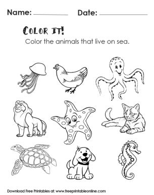 color  worksheet color  animals     sea