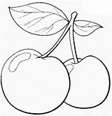 Kirsche Malvorlage Malvorlagen Cerejas Cherries sketch template