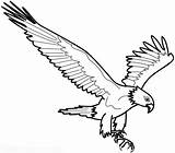Aigle Coloriage Eagle Aguila Aquila Sketsa Aguilas Aquile Pintar Burung Disegno Imagui águila Mafaldas Elang Enero Prodigue Collection Hantu Coloriages sketch template