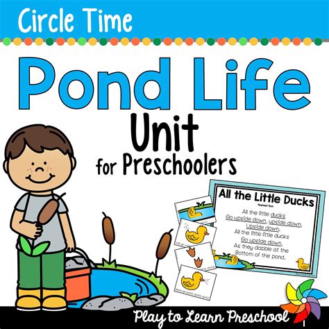 pond life preschool unit  circle time play  learn preschool