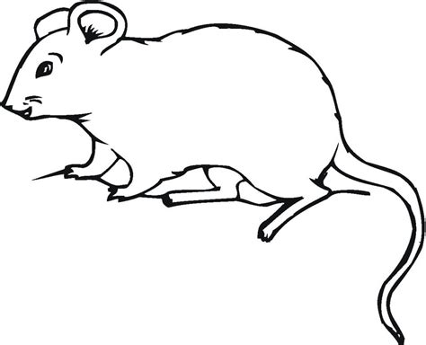 printable mouse coloring pages  kids