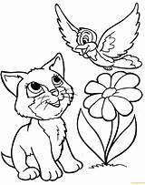 Cat Pages Bird Playing Coloring Color Kids sketch template