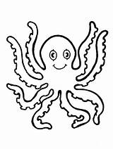 Octopus Polvo Pieuvre Fofinho Krake Polipo Ausmalbild Colorier Pulpo Marinos sketch template