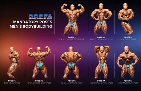 bodybuilding poses body building men bodybuilding bodybuilders men