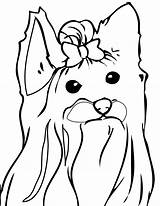 Terrier Coloring Getdrawings Pages sketch template