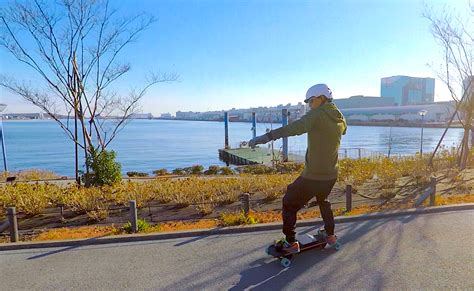 skateboarding in japan — tokyo zebra
