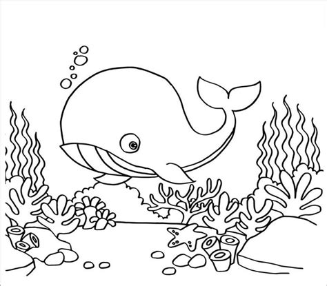cute whale coloring page  kids coloringbay