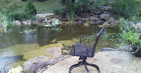 outdoor living water garden hometalk