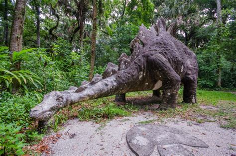 Bongoland Abandoned Florida