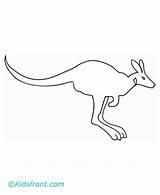 Wallaby Coloring Animals Designlooter Names 440px 62kb Birds sketch template