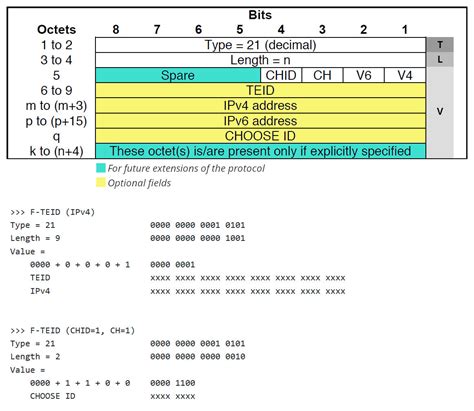 tlv format