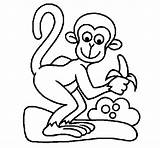 Mono Scimmietta Monkey Colorare Singe Gracioso Macacos Gorilas Acolore Funny Monos Micos Coloritou Disegni Kluwak sketch template
