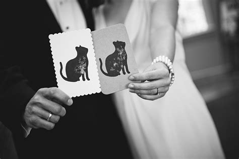 How To Include Kitty In Your Wedding Tidewater And Tulle • Coastal