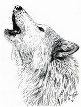 Wolf Howling Coloring Pages Moon Head Printable Drawing Color Print Getcolorings sketch template