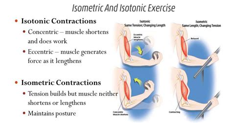 difference  isotonic exercises  isometric