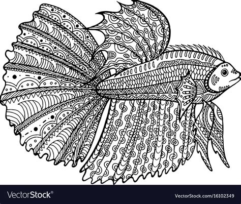 betta fish hand drawn coloring page royalty  vector