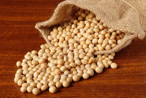 intensive management pushes soybeans  maximum yield potential agrodaily