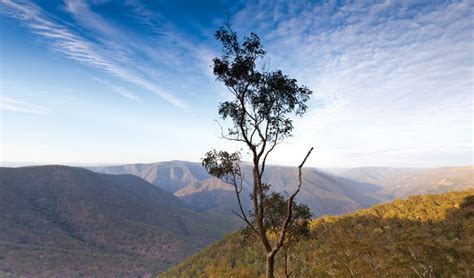 salisbury waters walking track nsw national parks