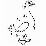 Duck Dots Connect Dot Choose Board Coloring Pages Activity sketch template