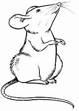 Ratte Ausmalbilder Rat Ratchet Clank Q2 sketch template